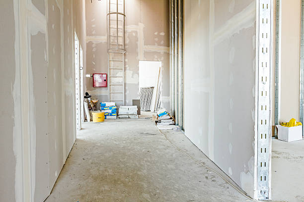 Mold Odor Removal Services in Irwin, PA